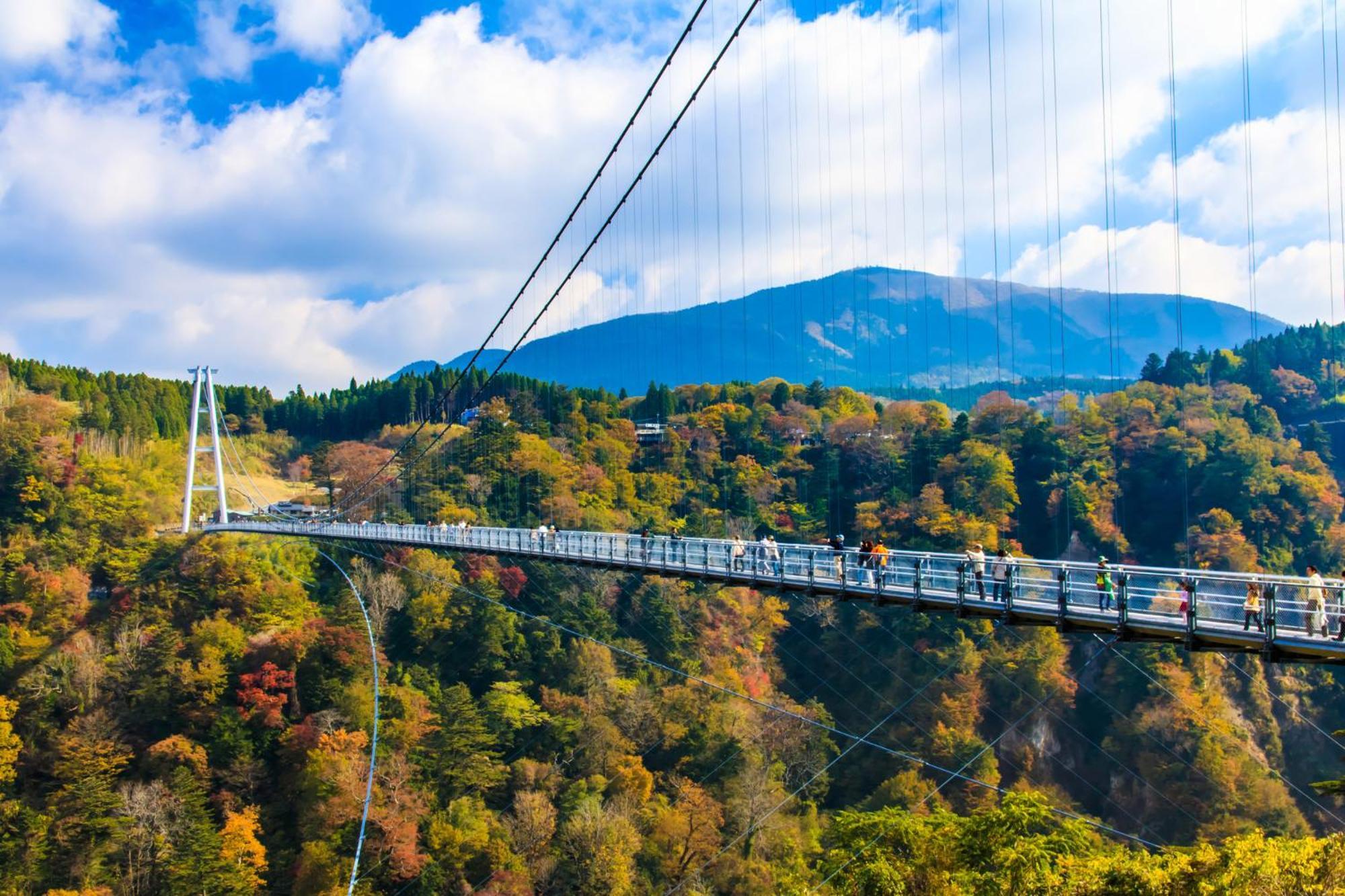 ホテル芳泉鶴 別府市 エクステリア 写真